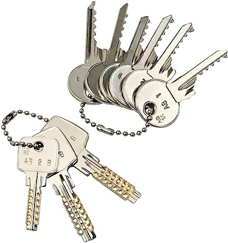 Schlagschlüssel Set - Bumpkey-Set- zum Öffnen der meistverkauften Baumarkt Schlösser, 9-teilig inkl. Anleitungslink