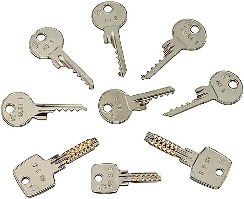 Schlagschlüssel Set - Bumpkey-Set- zum Öffnen der meistverkauften Baumarkt Schlösser, 9-teilig inkl. Anleitungslink