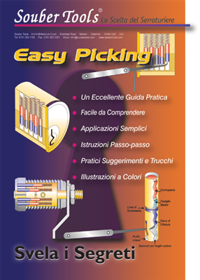 Einfaches Picken - Handbuch Neuauflage - IT von Multipick